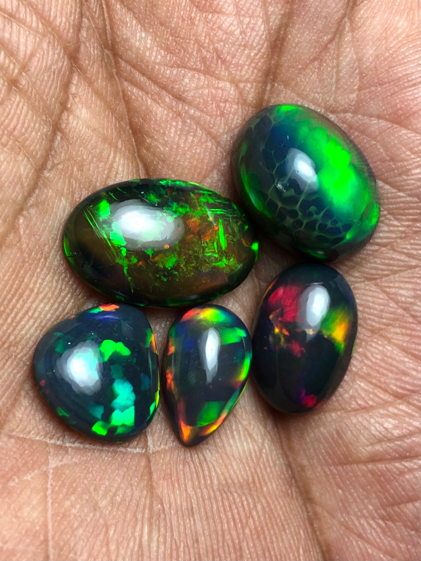 š„ AAA Black Ethiopian Opal Cabochon Lot - 20 Carats Total (5 Pieces) - Intense Play-of-Color!
