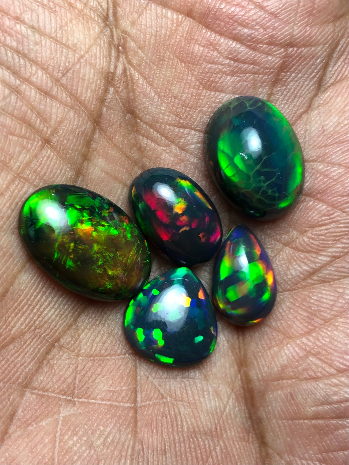 š„ AAA Black Ethiopian Opal Cabochon Lot - 20 Carats Total (5 Pieces) - Intense Play-of-Color!