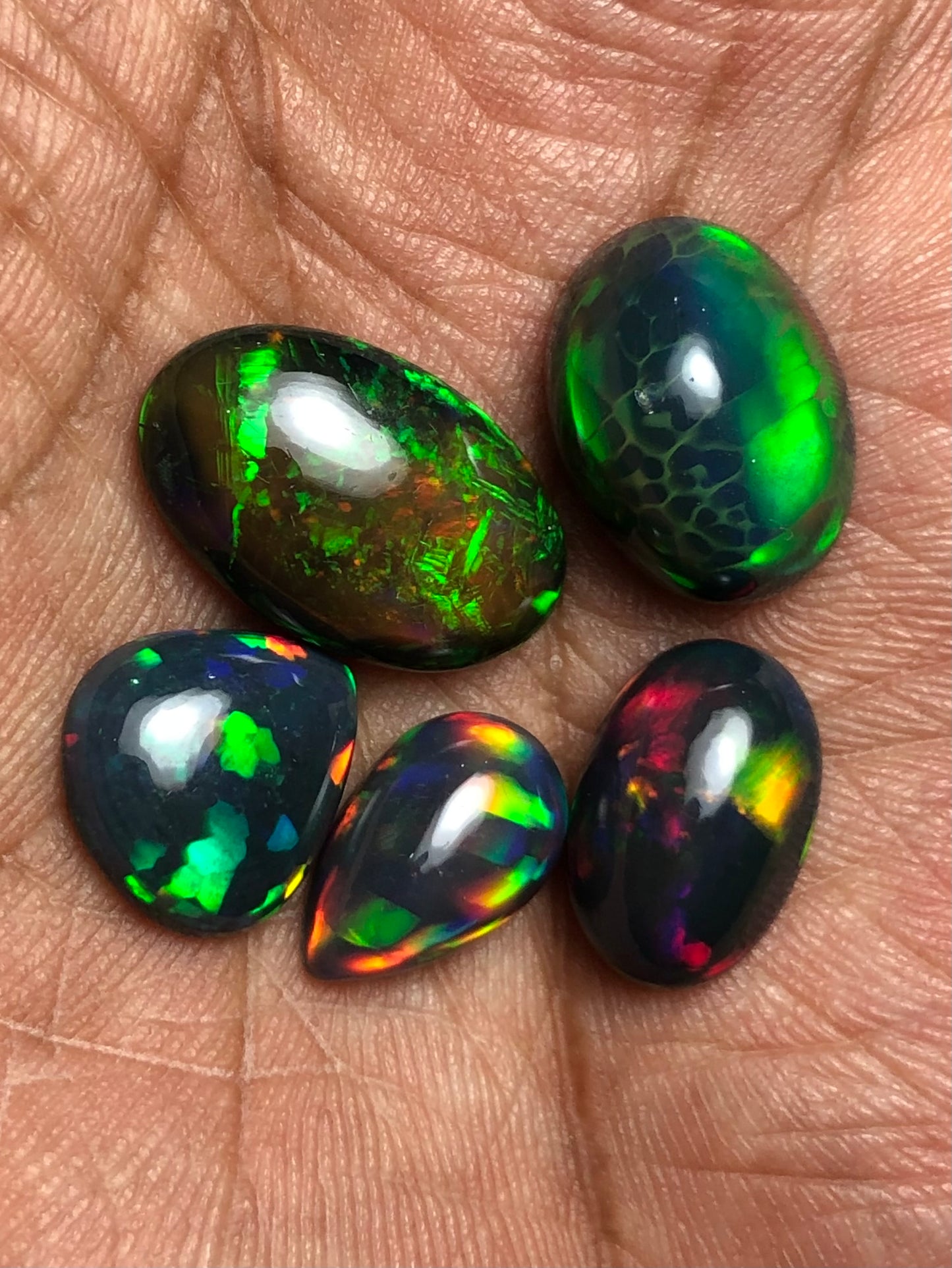 š„ AAA Black Ethiopian Opal Cabochon Lot - 20 Carats Total (5 Pieces) - Intense Play-of-Color!