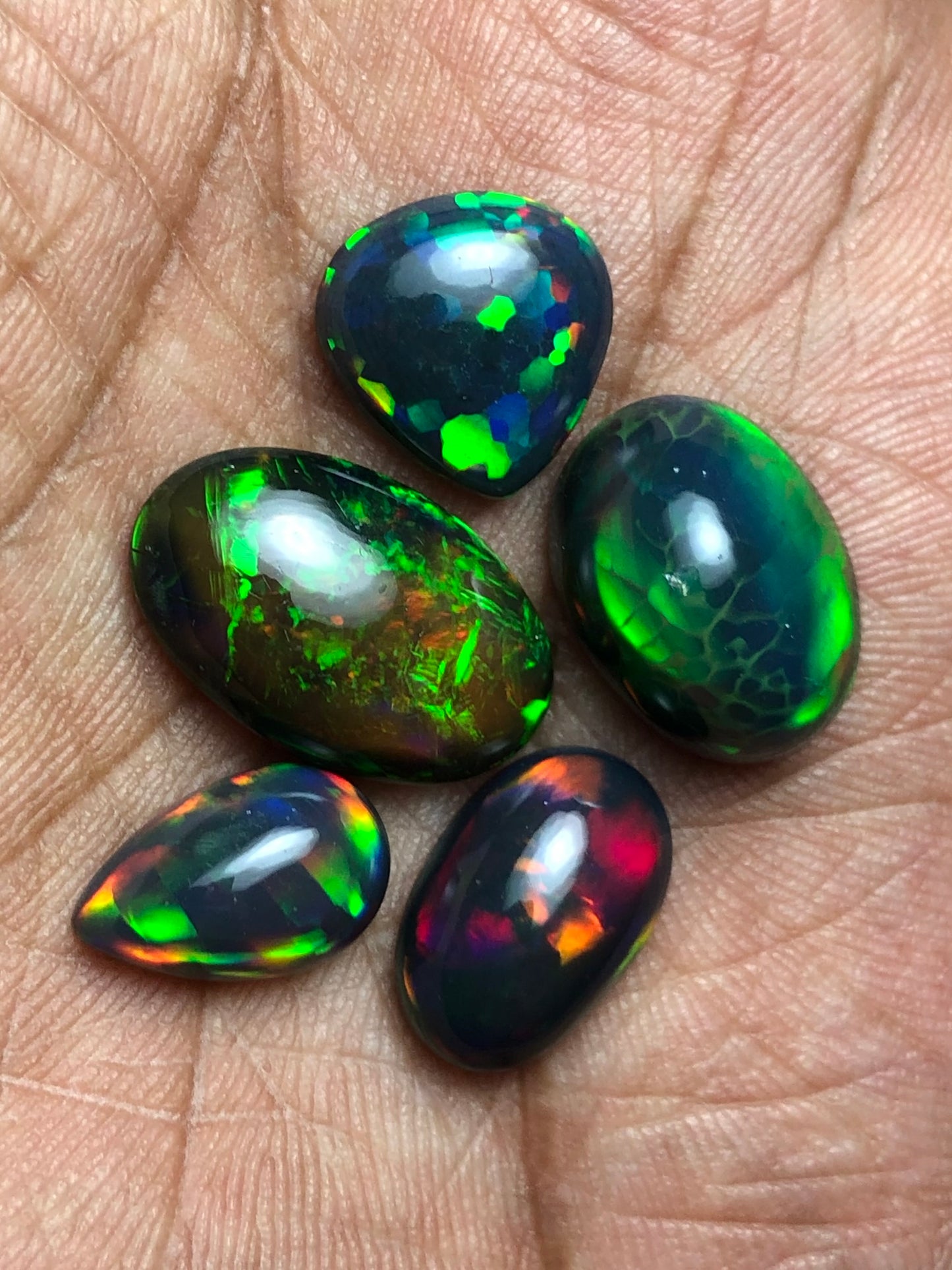 š„ AAA Black Ethiopian Opal Cabochon Lot - 20 Carats Total (5 Pieces) - Intense Play-of-Color!