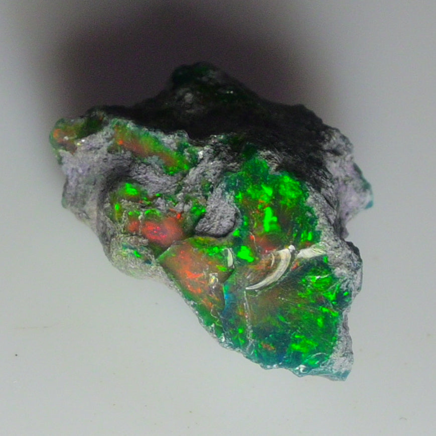 Black Opal Weight: 16.80  Carats | Natural Black Ethiopian Opal Rough - Ready for Cutting & Jewelry