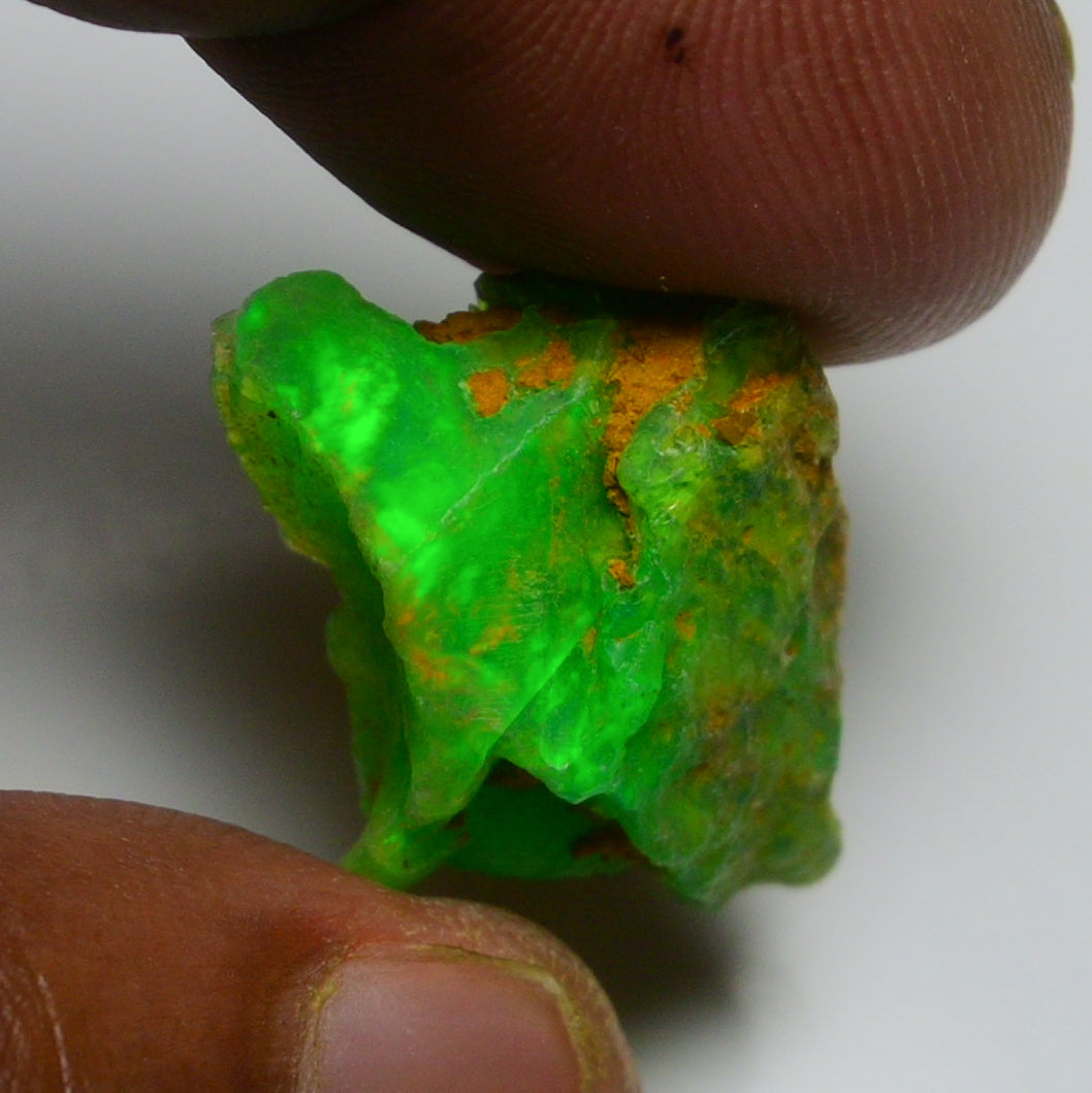 Rare Green Opal 12.45 Carats | Natural Green Ethiopian Opal Rough - Ready for Cutting & Jewelry!