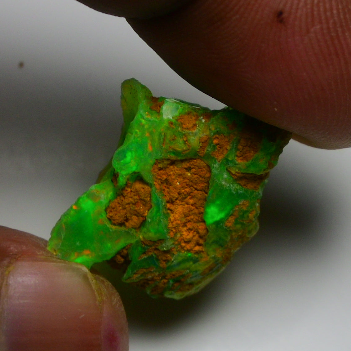 Rare Green Opal 12.45 Carats | Natural Green Ethiopian Opal Rough - Ready for Cutting & Jewelry!