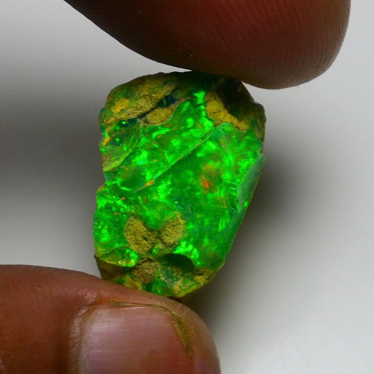 Green Opal 11.85 Carats | Natural Green Ethiopian Opal Rough - Ready for Cutting & Jewelry!