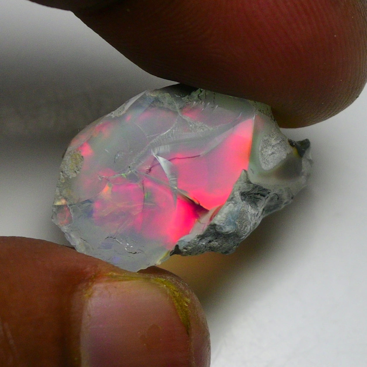 Black Opal 14.60 Carats | Natural Black Ethiopian Opal Rough - Ready for Cutting & Jewelry!