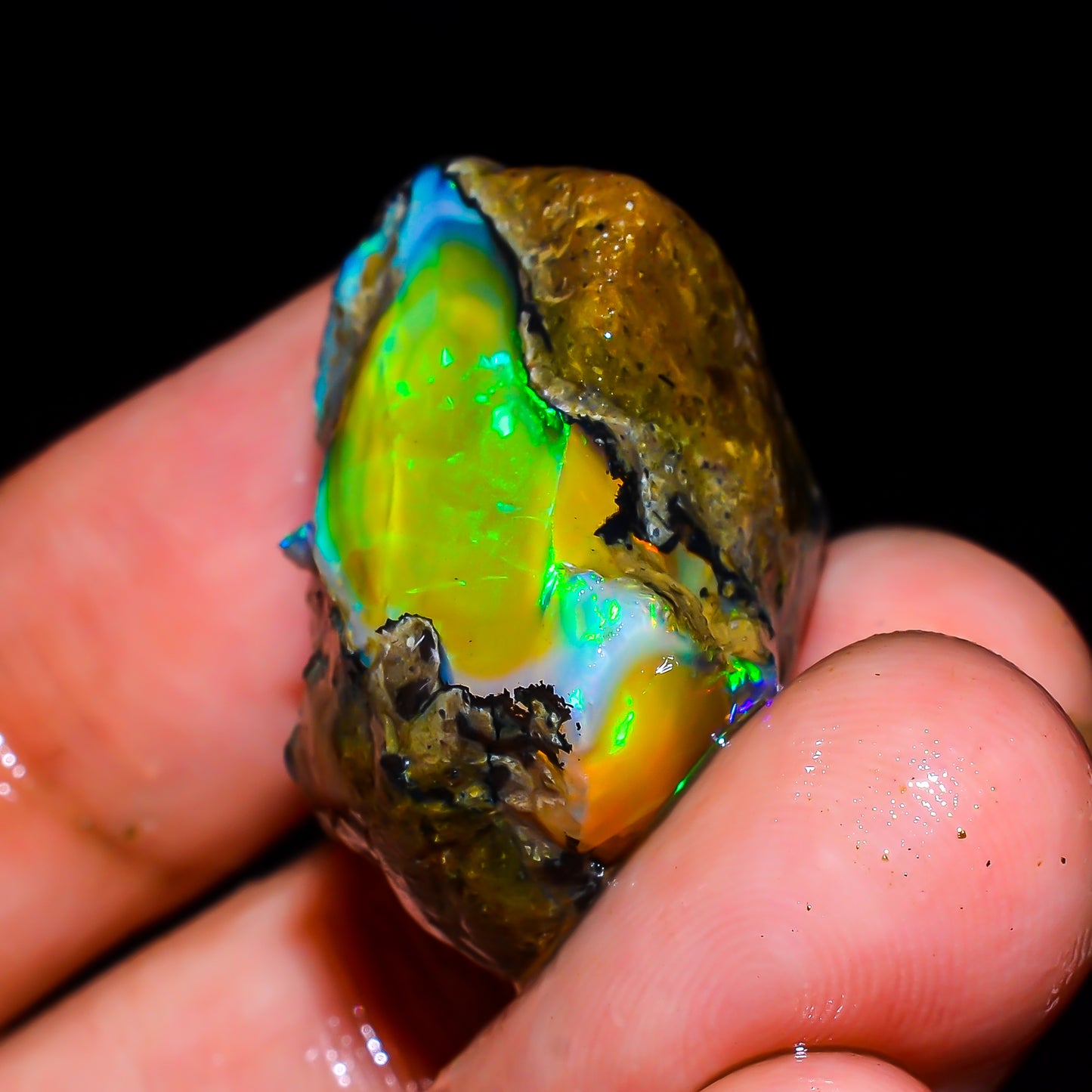 Opal Rough Specimen 31.00 Carat (6.2g) | 100% Natural Ethiopian Opal Raw
