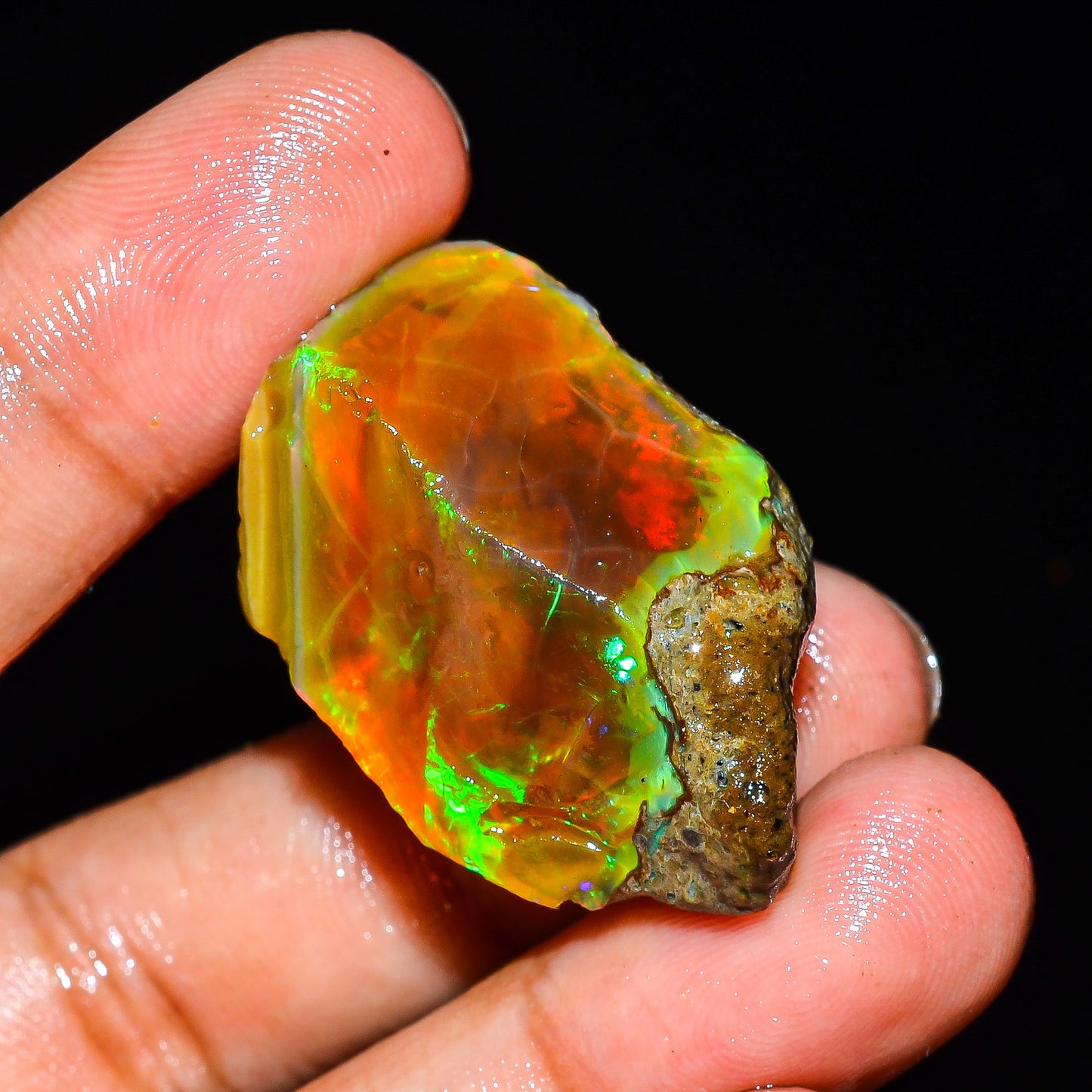 Opal Rough Specimen 52.00 Carat (10.4g) | 100% Natural Ethiopian Opal Raw