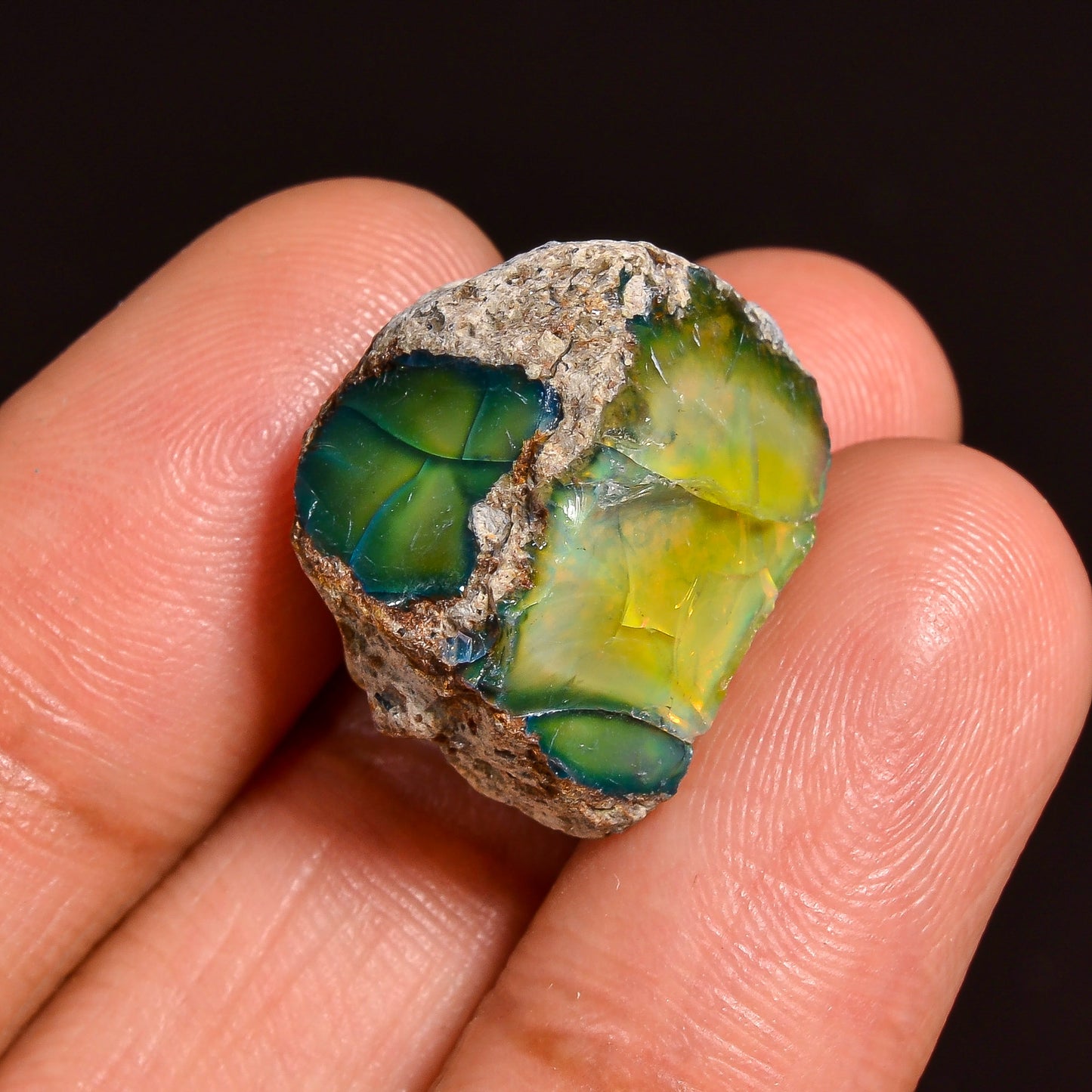 Black Opal 16.00 Carats | Natural Black Ethiopian Opal Rough - Ready for Cutting & Jewelry