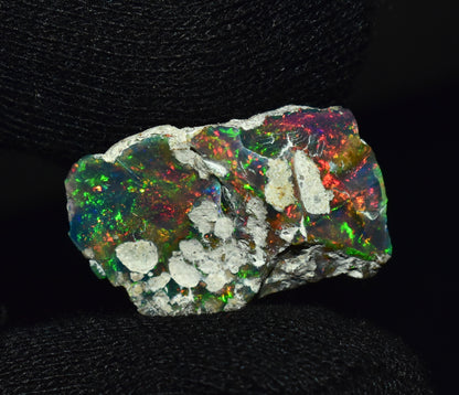 Black Opal 12.25 Carats | Natural Black Ethiopian Opal Rough - Ready for Cutting & Jewelry!