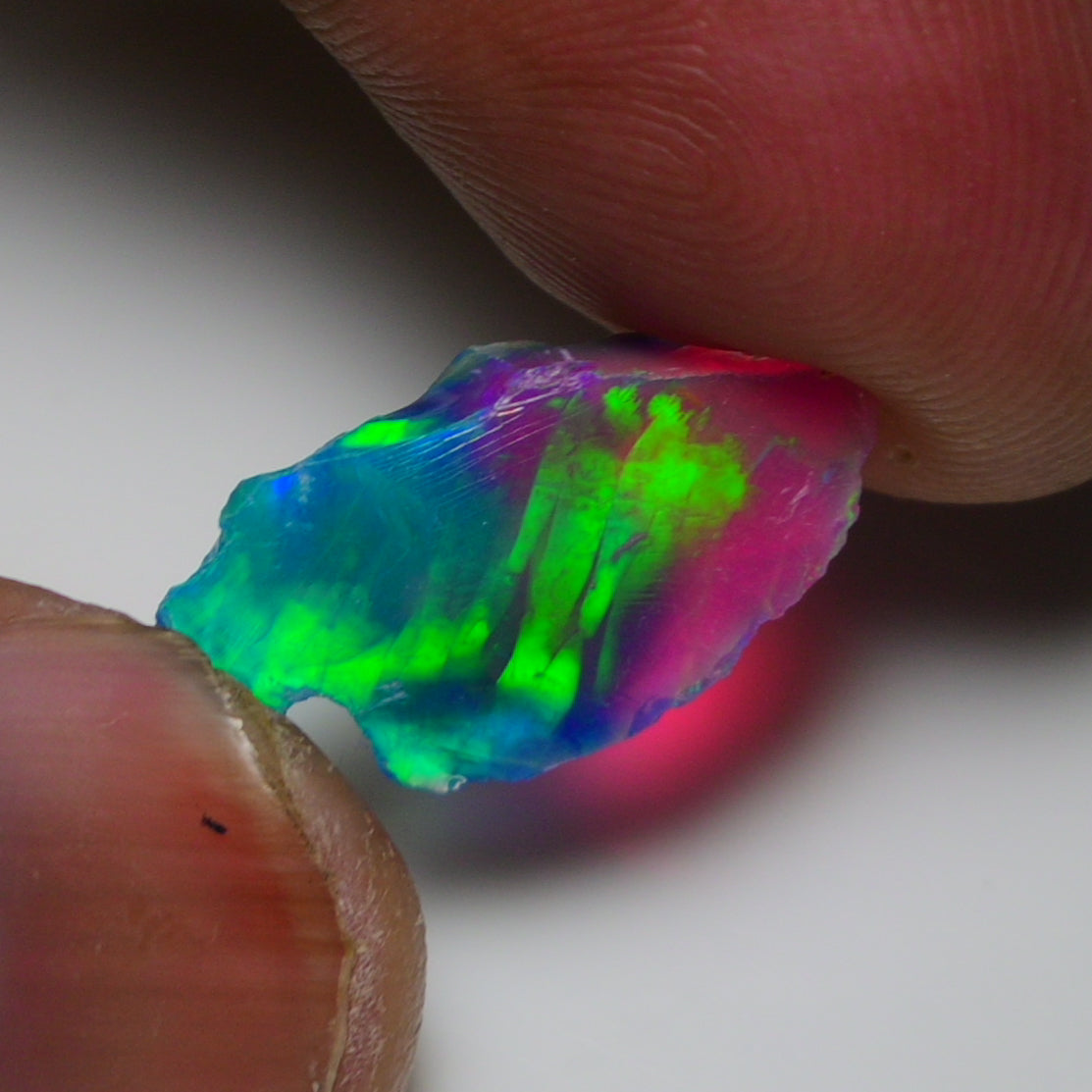 Very Rare Bi-Color Opal Rough 3.75 Cts Natural Ethiopian Opal Raw Jewelry Grade