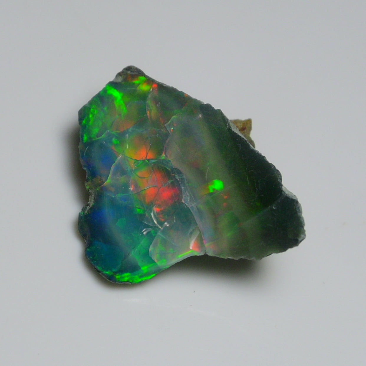 Black Opal 12.35 Carats | Natural Black Ethiopian Opal Rough - Ready for Cutting & Jewelry