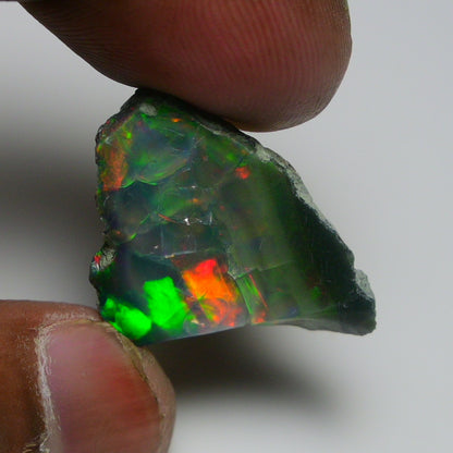 Black Opal 12.35 Carats | Natural Black Ethiopian Opal Rough - Ready for Cutting & Jewelry