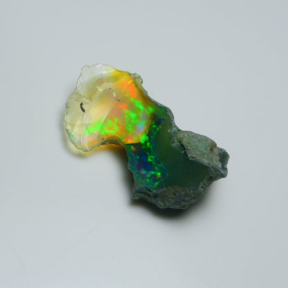 Black Opal 20.75 Carats | Natural Black Ethiopian Opal Rough - Ready for Cutting & Jewelry