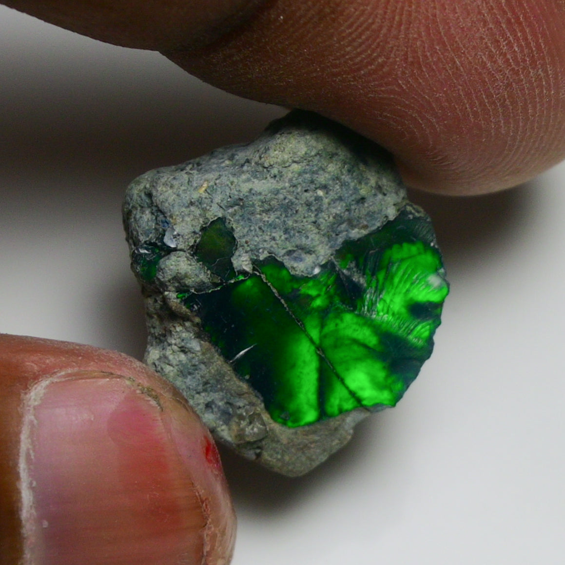 Rare Black Opal 10.00 Carats | Natural Black Ethiopian Opal Rough - Ready for Cutting & Jewelry!