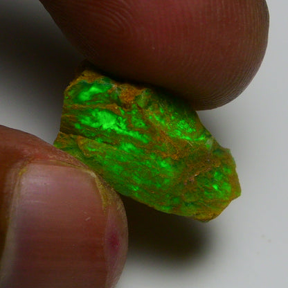 Rare Green Opal 6.95 Carats | Natural Green Ethiopian Opal Rough - Ready for Cutting & Jewelry!