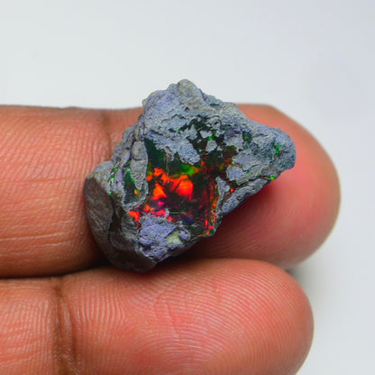 Rare Black Opal 13.00 Carats | Natural Black Ethiopian Opal Rough - Ready for Cutting & Jewelry!
