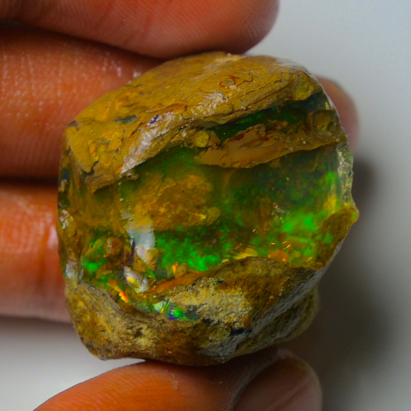 Opal Rough Specimen 80.00 Carat (16g) | 100% Natural Ethiopian Opal Raw
