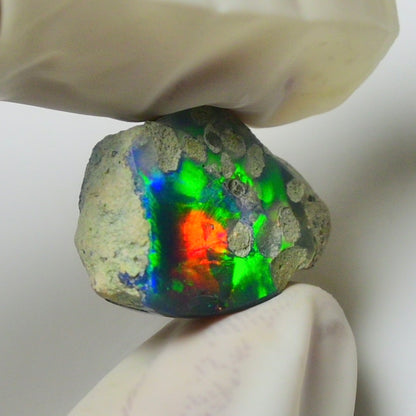 Blue Opal Rough 8.90  Carats | Natural Ethiopian Opal Rough - Ready for Cutting & Jewelry | AAA Grade Opal Raw