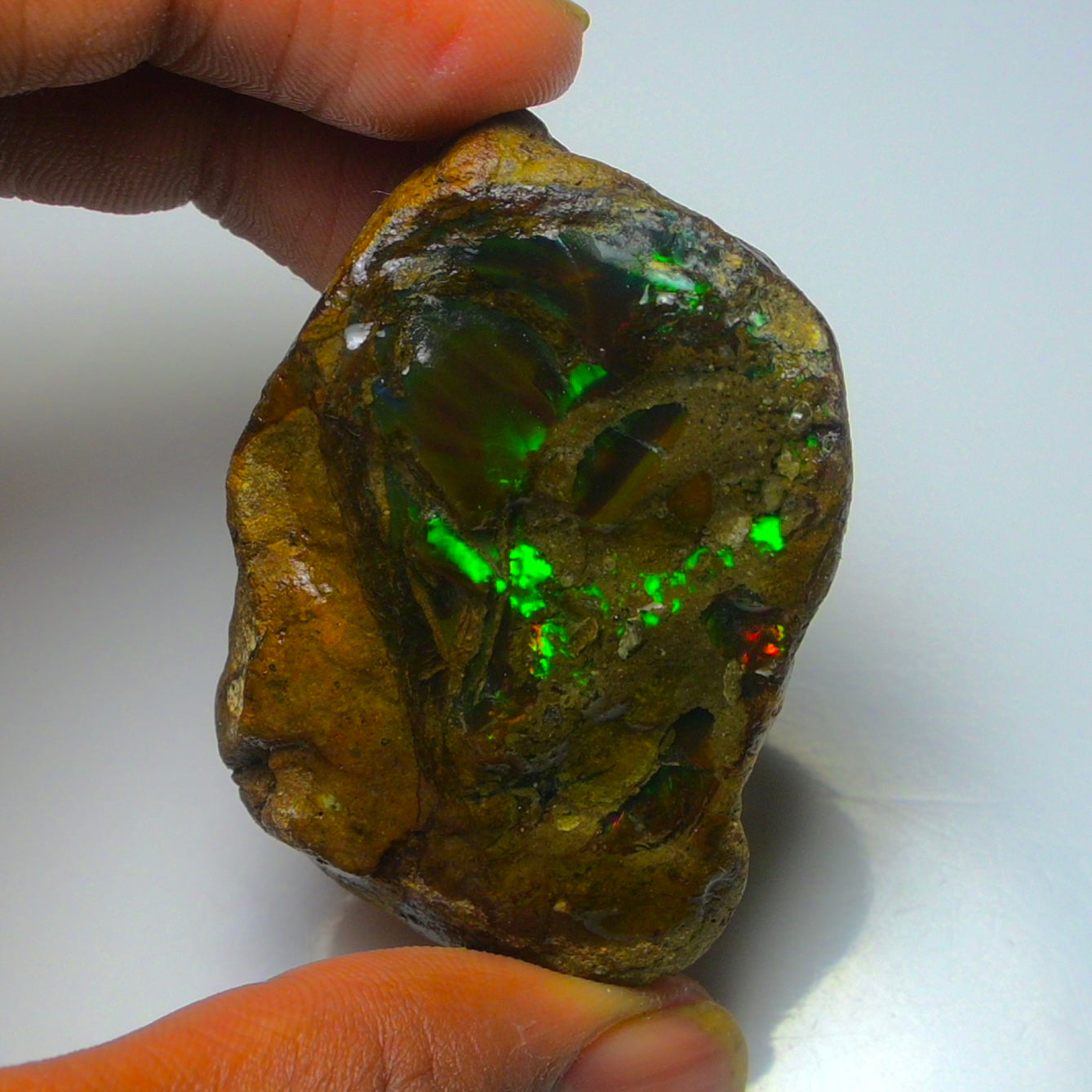 Opal Rough Specimen 155.00 Carat (31g) | 100% Natural Ethiopian Opal Raw