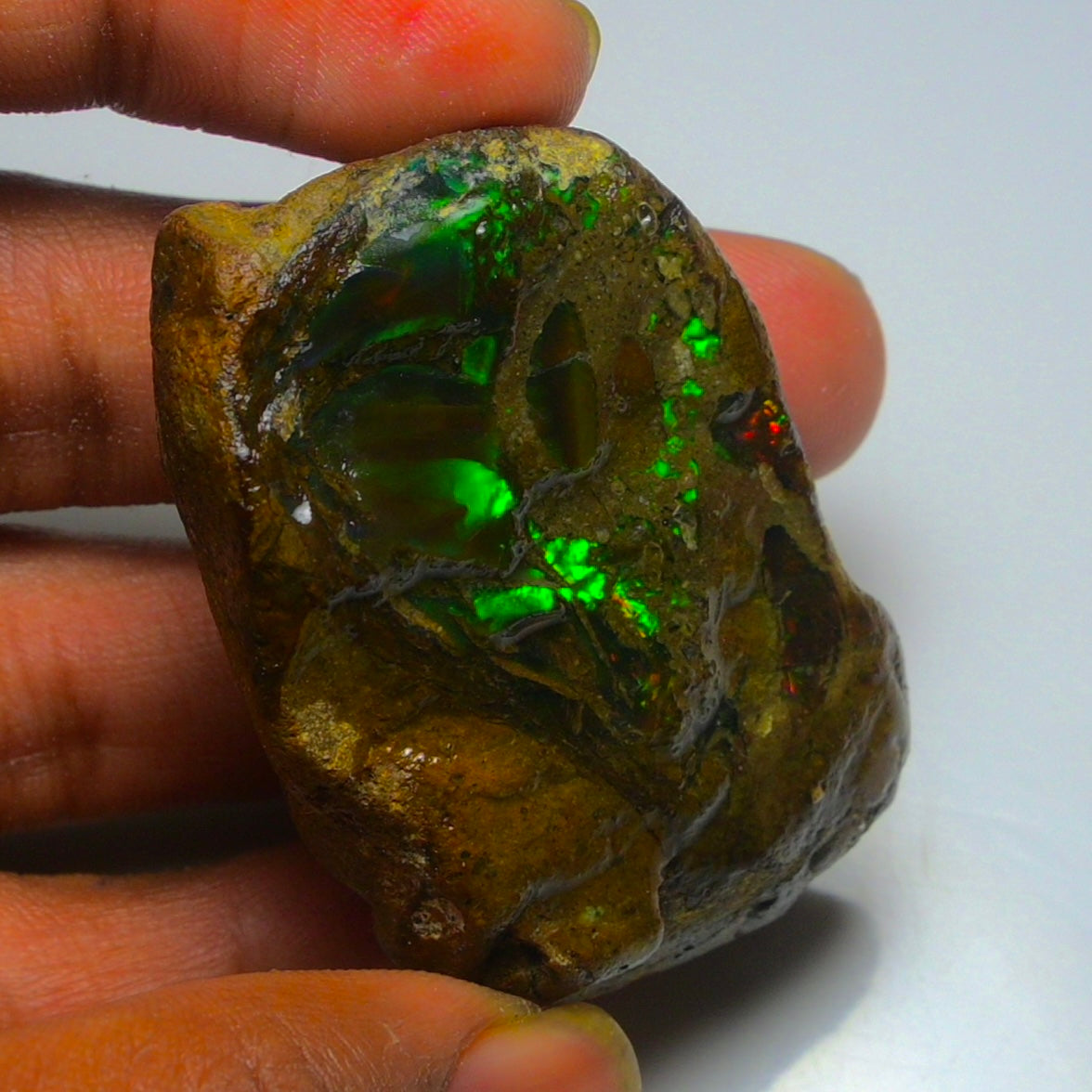 Opal Rough Specimen 155.00 Carat (31g) | 100% Natural Ethiopian Opal Raw
