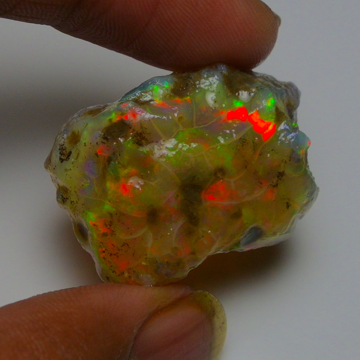 Opal Rough Specimen 42.25 Carat (8.45g) | 100% Natural Ethiopian Opal Raw