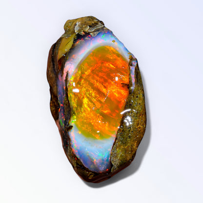 Classic Large Opal Rough 63.00 Carat Natural Ethiopian Opal Raw 38x23 MM