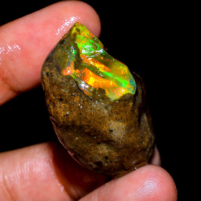 Attractive Opal Rough 52.50 Carat Natural Ethiopian Opal Raw 30x18 MM