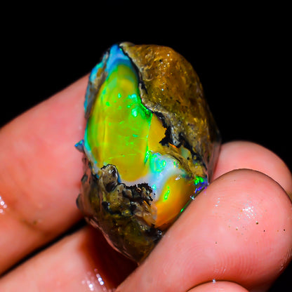 Opal Rough Specimen 31.00  Carat (6.2g) | 100% Natural Ethiopian Opal Raw