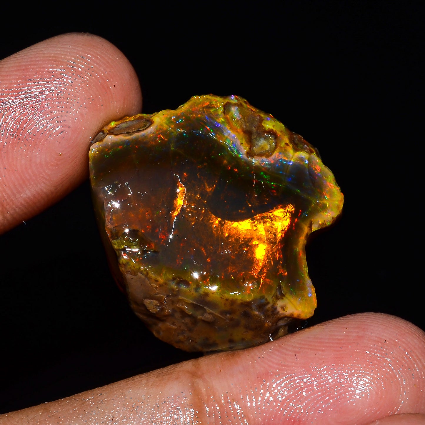 Opal Rough Specimen 40.5 Carats (8.1) | 100% Natural Ethiopian Opal Raw