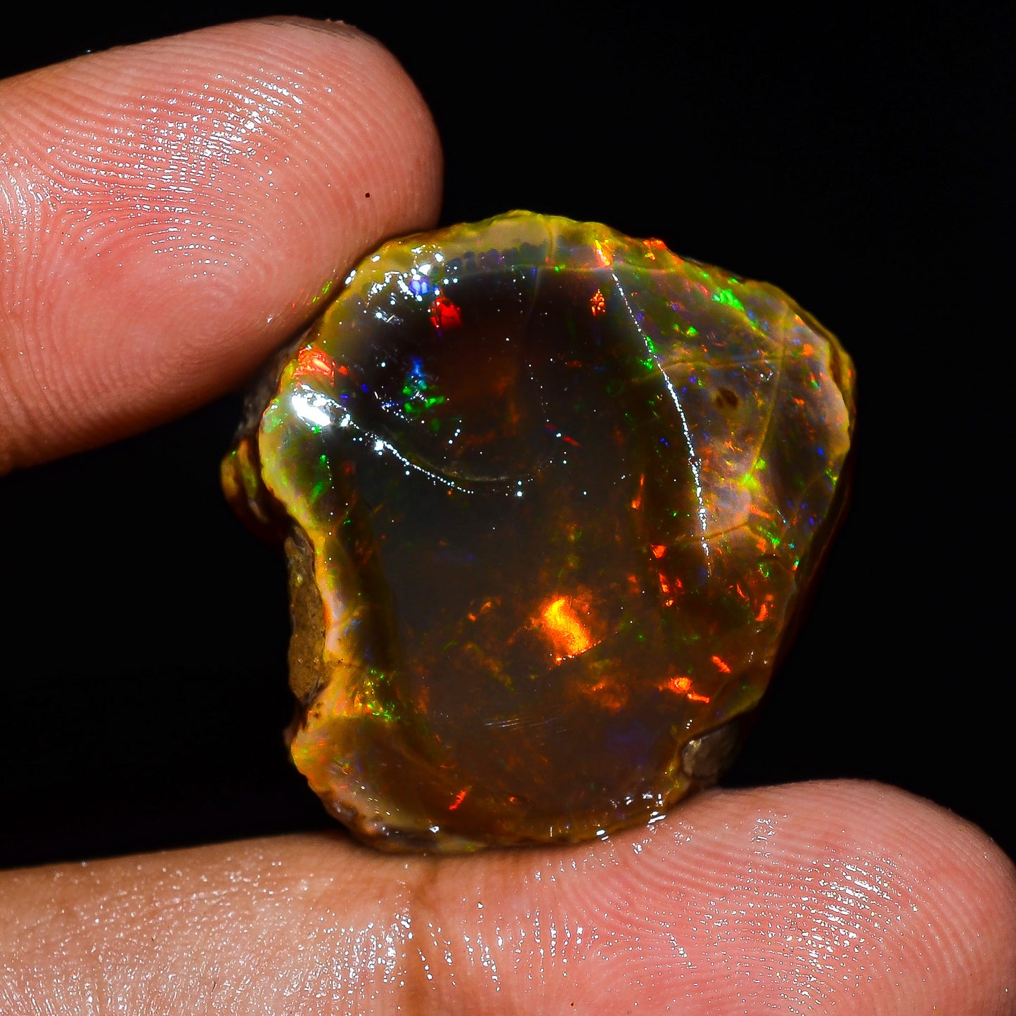 Opal Rough Specimen 40.5 Carats (8.1) | 100% Natural Ethiopian Opal Raw