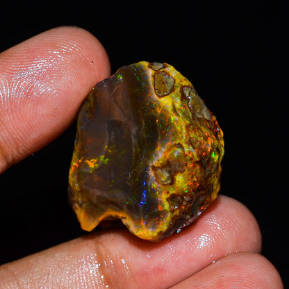 Opal Rough Specimen 40.5 Carats (8.1) | 100% Natural Ethiopian Opal Raw