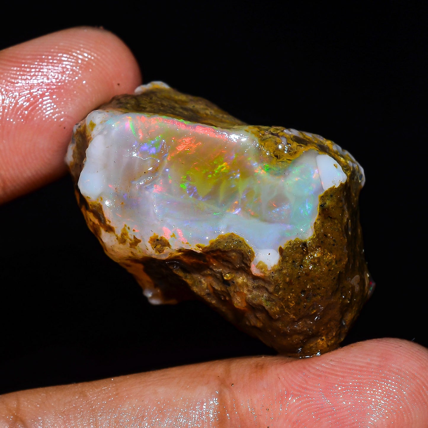Opal Rough Specimen 61.00 Carats (12.2) | 100% Natural Ethiopian Opal Raw
