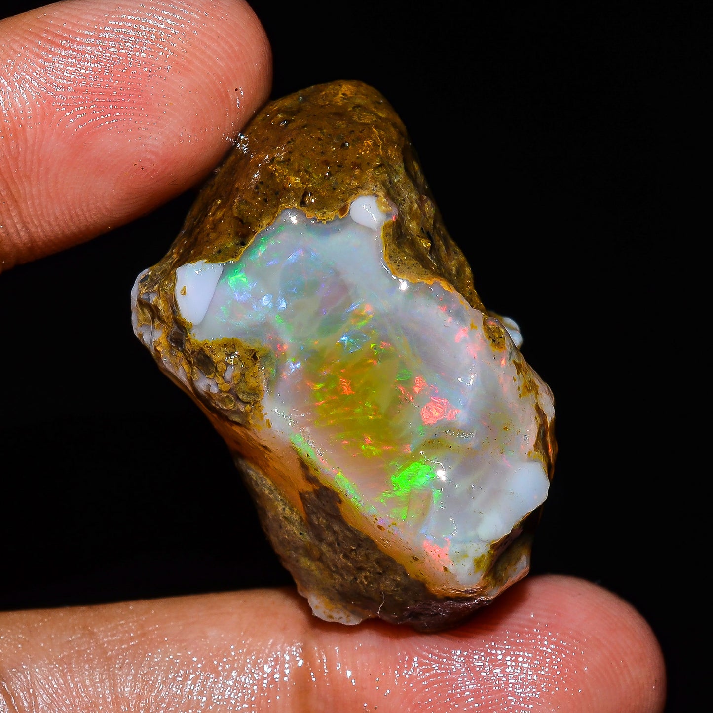 Opal Rough Specimen 61.00 Carats (12.2) | 100% Natural Ethiopian Opal Raw