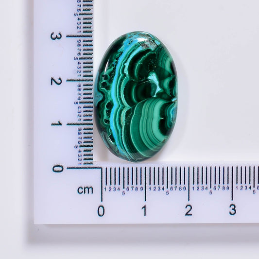 Natural Malachite Chrysocolla Pear Shape Cabochon Loose Gemstone 32 Ct. 32X16X5 mm TJC-59
