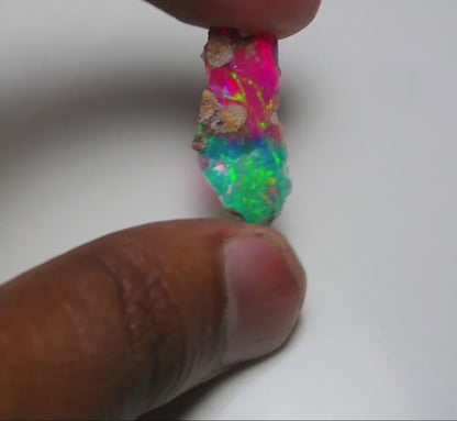 Very Rare Bi-Color Opal Rough 6.55 Cts Natural Ethiopian Opal Raw Jewelry Grade