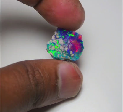 Very Rare Bi-Color Opal Rough 6.30 Cts Natural Ethiopian Opal Raw Jewelry Grade