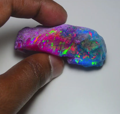 Very Rare Bi-Color Opal Rough 168.35 Cts Natural Ethiopian Opal Raw Jewelry Grade