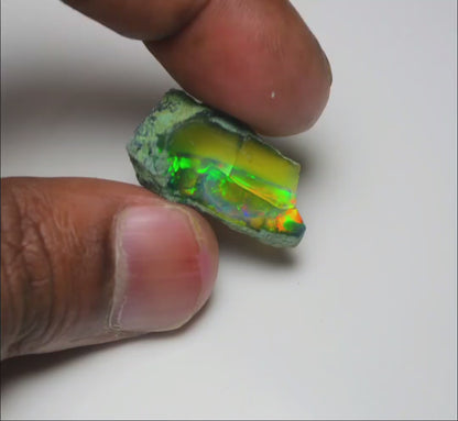 Black Opal 15.00 Carats | Natural Black Ethiopian Opal Rough - Ready for Cutting & Jewelry
