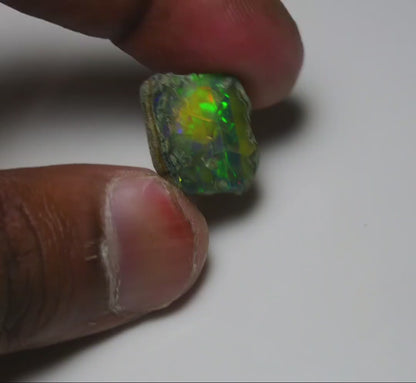 Black Opal 12.45 Carats | Natural Black Ethiopian Opal Rough - Ready for Cutting & Jewelry